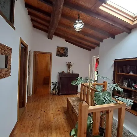 La Casa De Las Rocas - En La Ribeira Sacra Nogueira De Ramuin Exterior photo